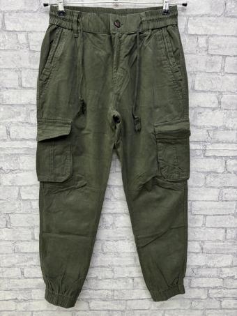 1690-13Lionesa / ���� 1